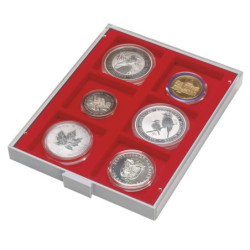 LINDNER doubles box monnaies (hauteur 30 mm.) avec 6 cases de 85x85 mm.