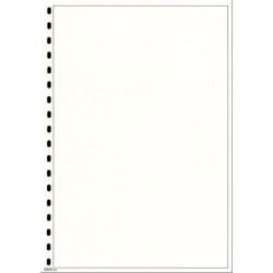 LINDNER paquet (10) feuilles neutres en carton blanc avec encadrement noir